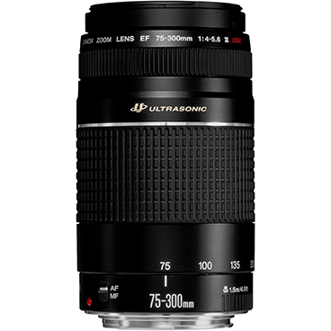 لنز دوربین کانن مدل EF 75-300mm f/4-5.6 III USM با لوازم جانبی