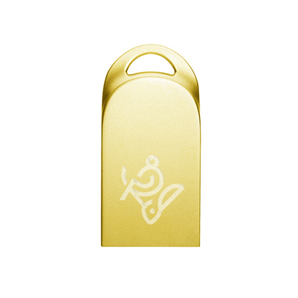 فلش مموری آی کیو مدل Nail IQ309 ظرفیت 8 گیگابایت فلش مموری آی کیو مدل Nail IQ309 ظرفیت 8 گیگابایت