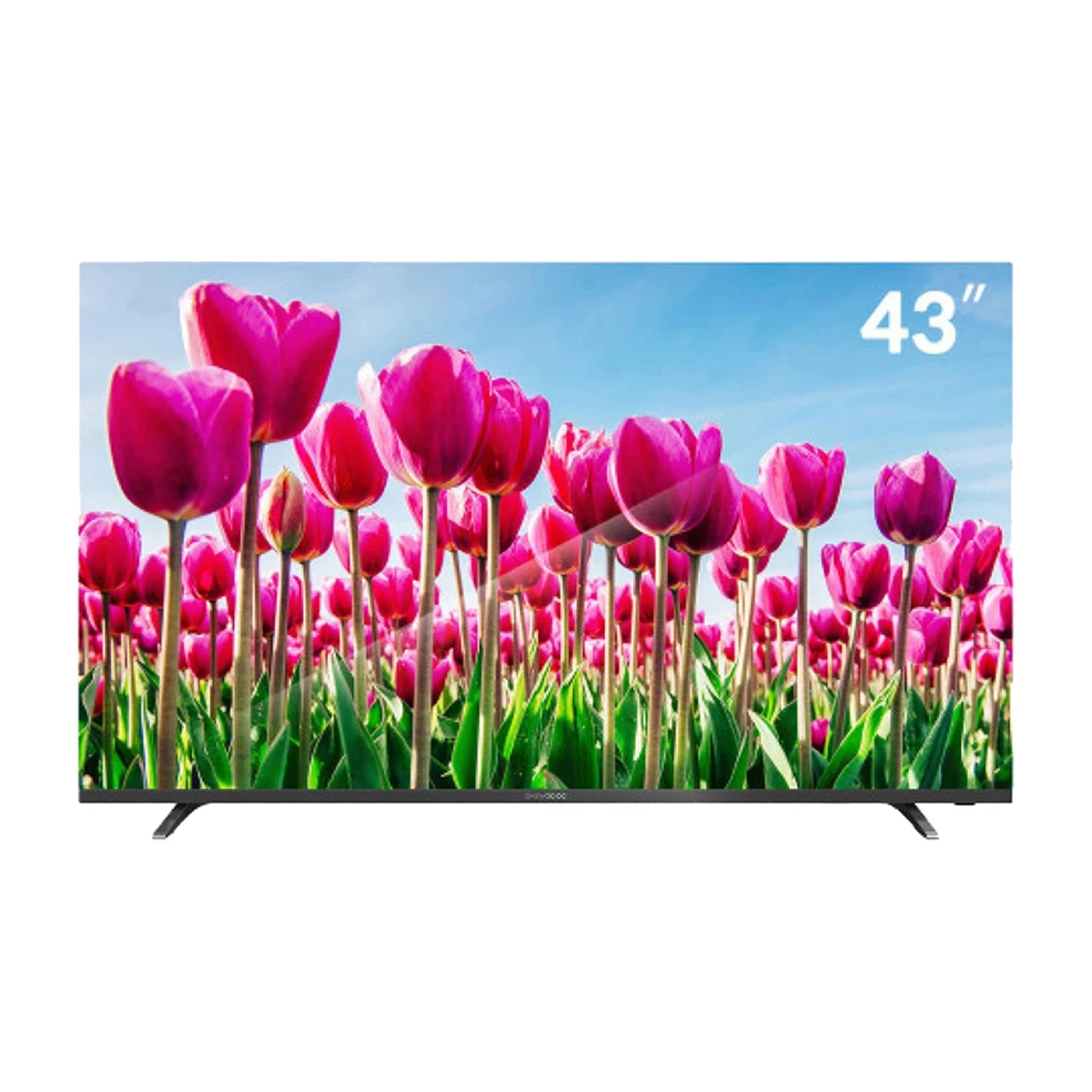 تلویزیون ال ای دی دوو مدل DSL-43SF1710 سایز 43 اینچ تلویزیون ال ای دی دوو مدل DSL-43SF1710 سایز 43 اینچ