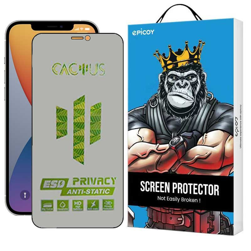 محافظ صفحه نمایش حریم شخصی اپیکوی مدل Cactus-ESD-Privacy مناسب برای گوشی موبایل اپل iPhone 12 Pro - 12