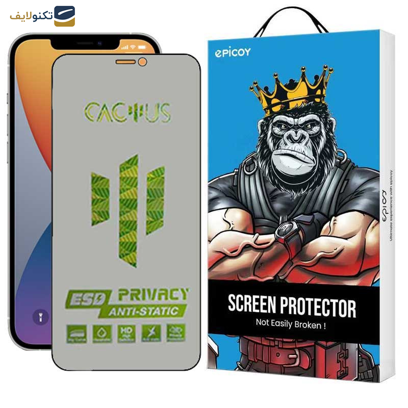  محافظ صفحه نمایش حریم شخصی اپیکوی مدل Cactus-ESD-Privacy مناسب برای گوشی موبایل اپل iPhone 12 Pro / 12