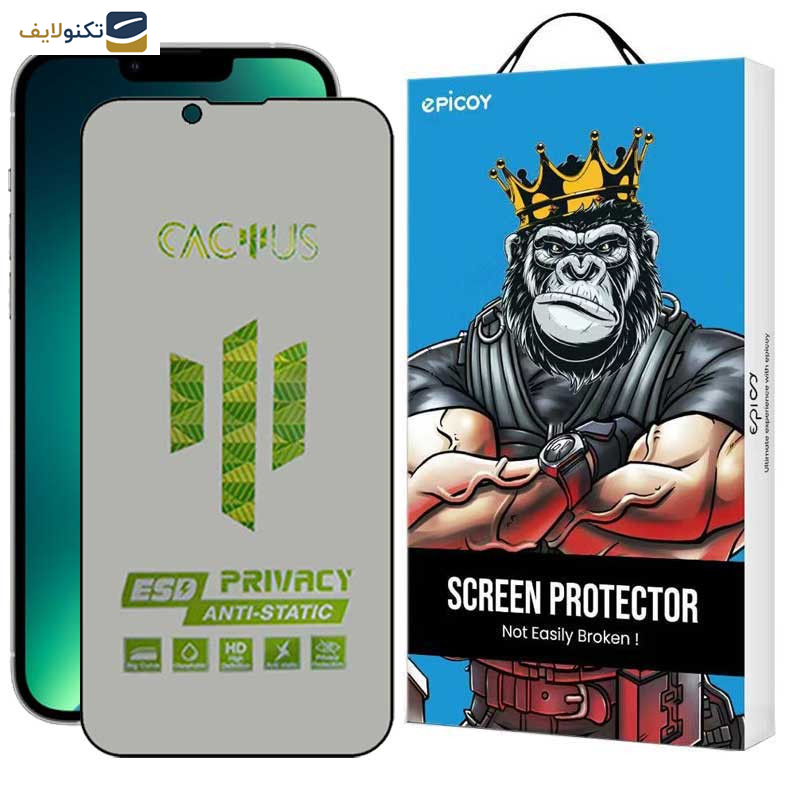 محافظ صفحه نمایش حریم شخصی اپیکوی مدل Cactus-ESD-Privacy مناسب برای گوشی موبایل اپل iPhone 14 / 13 Pro / 13