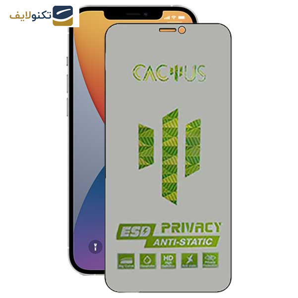  محافظ صفحه نمایش حریم شخصی اپیکوی مدل Cactus-ESD-Privacy مناسب برای گوشی موبایل اپل iPhone 12 Pro / 12