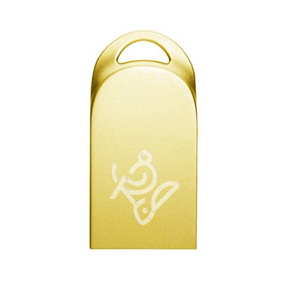 فلش مموری آی کیو مدل Nail IQ309 ظرفیت 16 گیگابایت-small-image