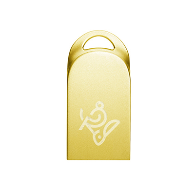فلش مموری آی کیو مدل Nail IQ309 ظرفیت 8 گیگابایت-small-image