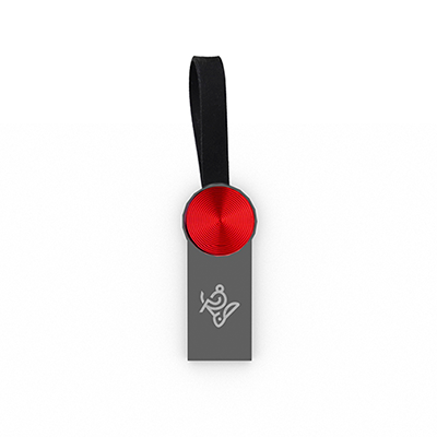 فلش مموری آی کیو مدل Leather IQ307 ظرفیت 64 گیگابایت-small-image