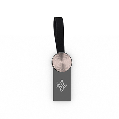 فلش مموری آی کیو مدل Leather IQ307 ظرفیت 8 گیگابایت-small-image