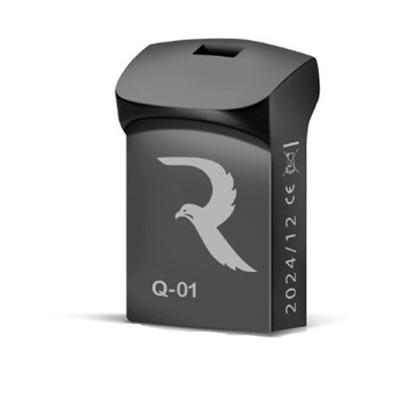 فلش مموری ریوکس مدل Q-01 ظرفیت 32 گیگابایت-small-image