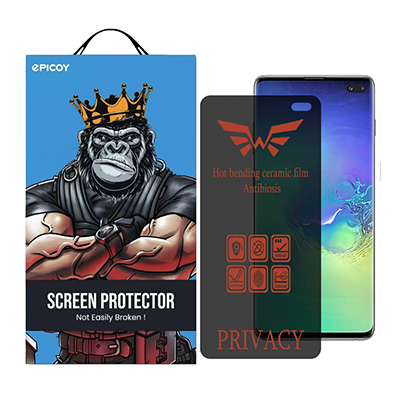 گلس گوشی سامسونگ Galaxy S10 Plus اپیکوی مدل Nano-Privacy پرایوسی-small-image