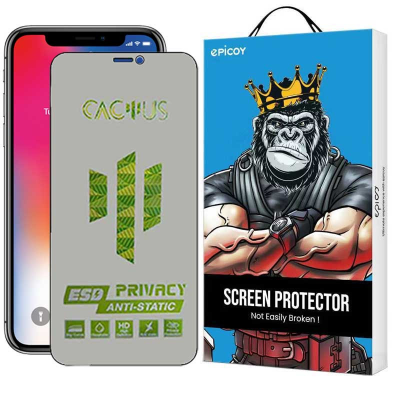  محافظ صفحه نمایش حریم شخصی اپیکوی مدل Cactus-ESD-Privacy مناسب برای گوشی موبایل اپل iPhone 11 Pro Max / XS Max