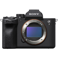 دوربین عکاسی سونی مدل Alpha a7IV-small-image